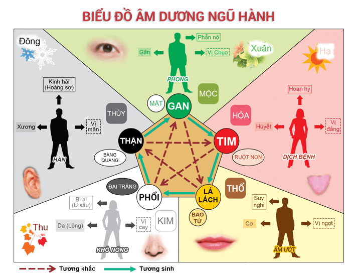 Học thuyết tạng tượng